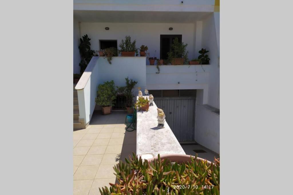 Apartmán La Tavernetta Di Bruno Gallipoli Exteriér fotografie